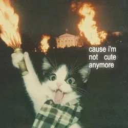 NOT CUTE ANYMORE 🥰 