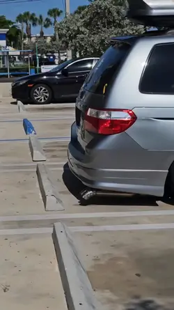 carros modificados