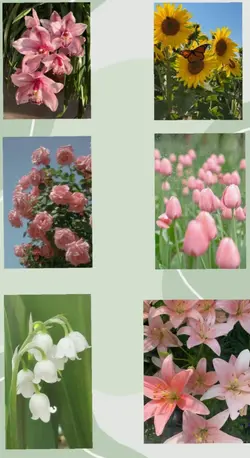 Claim your flower