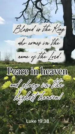 Palm Sunday 