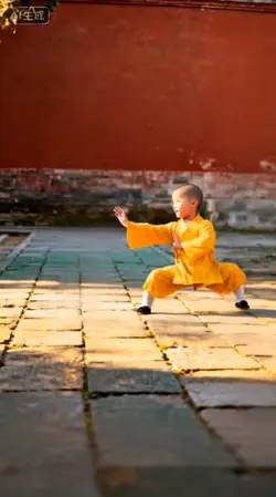 AI KUNG FU