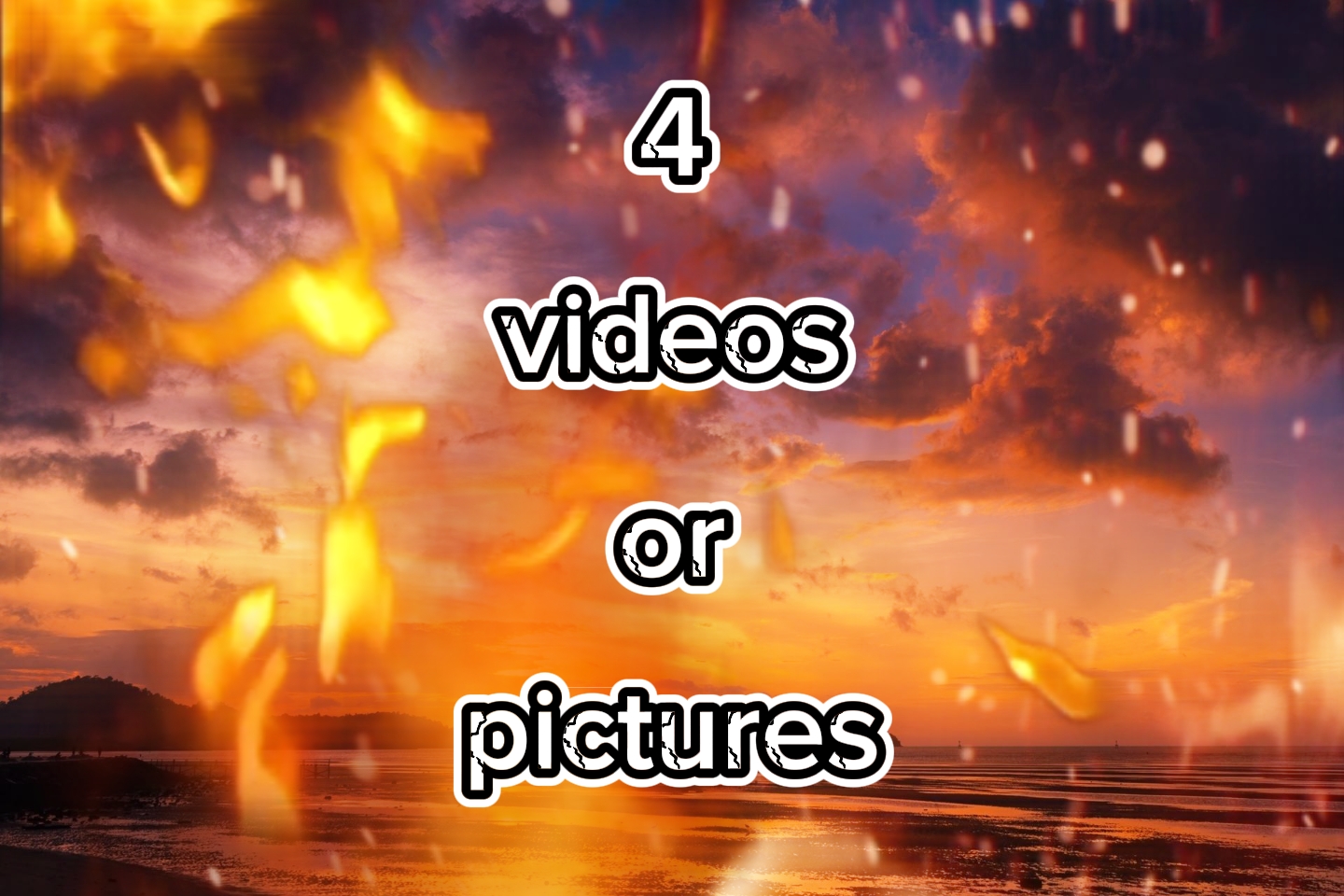 4 vidéos ou photos