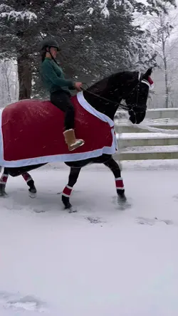 MERRY CHRISTMAS 🎄 