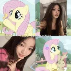 Katseye X MLP