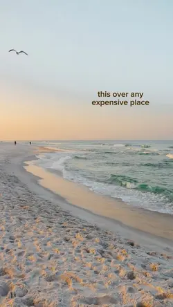 i love the beach