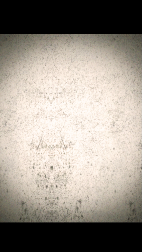 myAugust