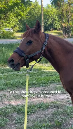 How’s your horse?