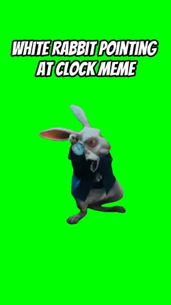 Rabbit clock meme