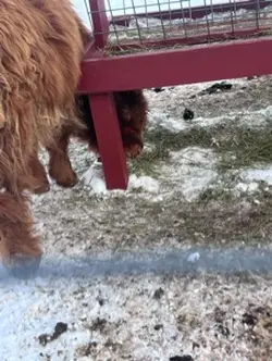 THATS THE WAY I LIKE