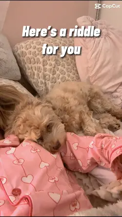 Here’s a riddle for 