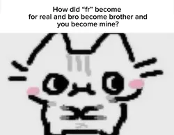 seal r cool