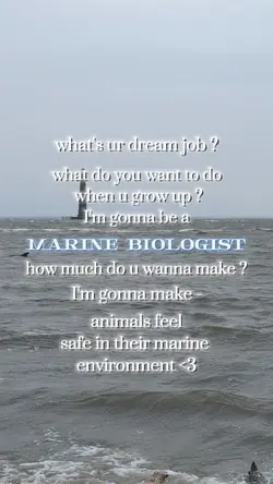 I love sea animalss!
