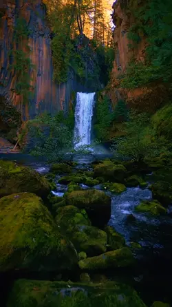 Nature 