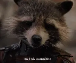 Rocket Raccoon 