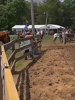 Holy stride🤩🤩🤩