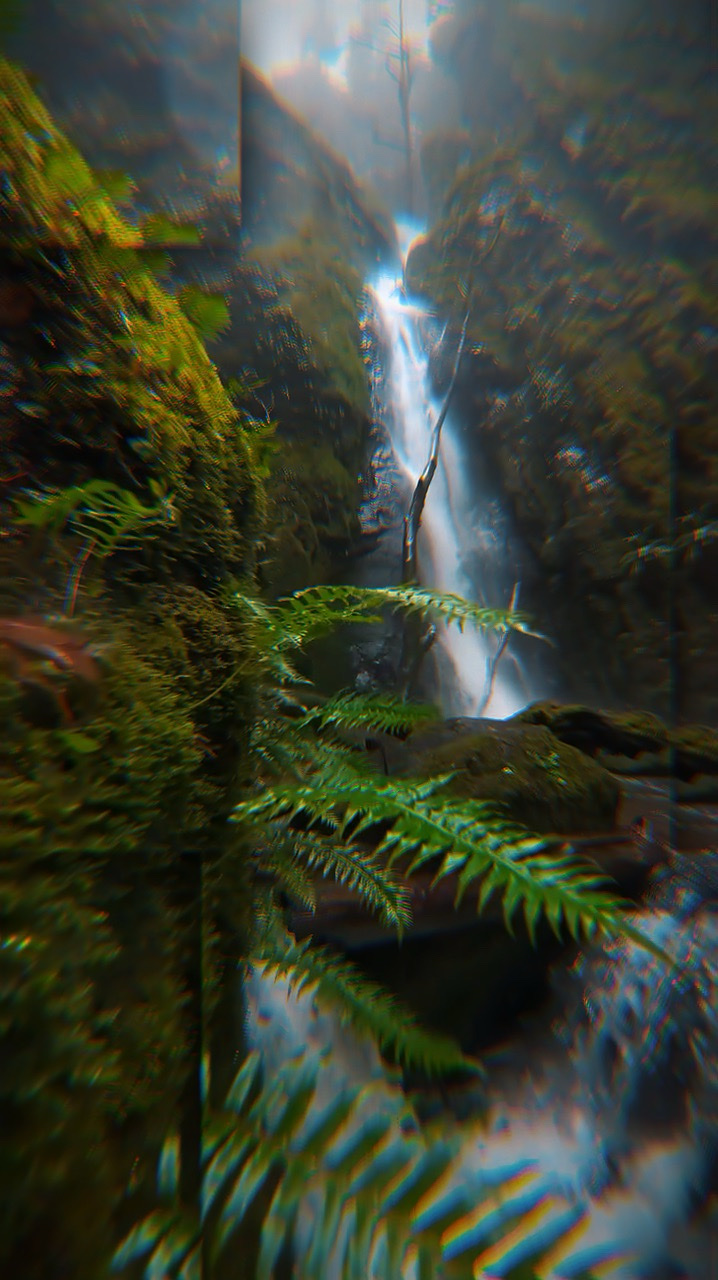 6 video atau foto 