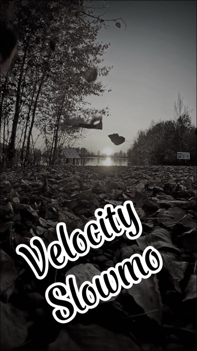 Vitesse Slowmo 👇🏻