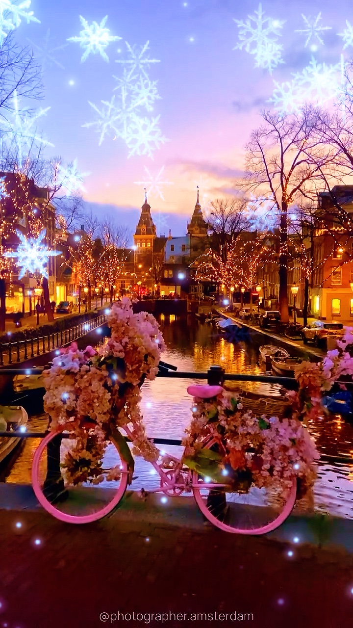 Navidad 