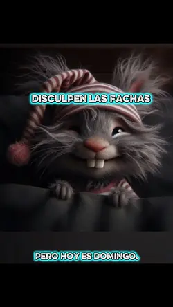 Disculpen las fachas