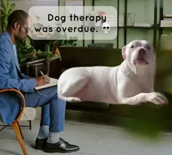 Dog therapy