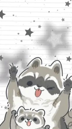 Raccoon wallpapers 