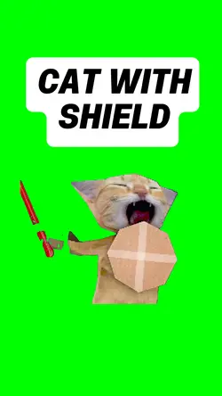 CAT with SHIELD