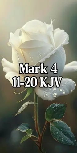Mark 4:11-20 KJV