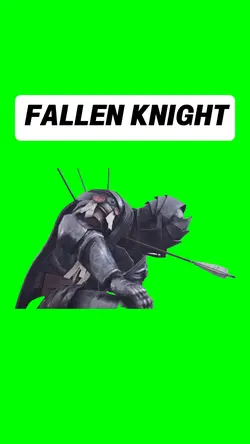 FALLEN KNIGHT
