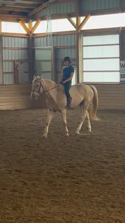 Trot slowmo