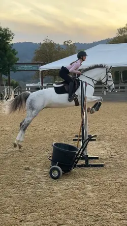 🫰🫰‼️⚠️FAKE⚠️‼️