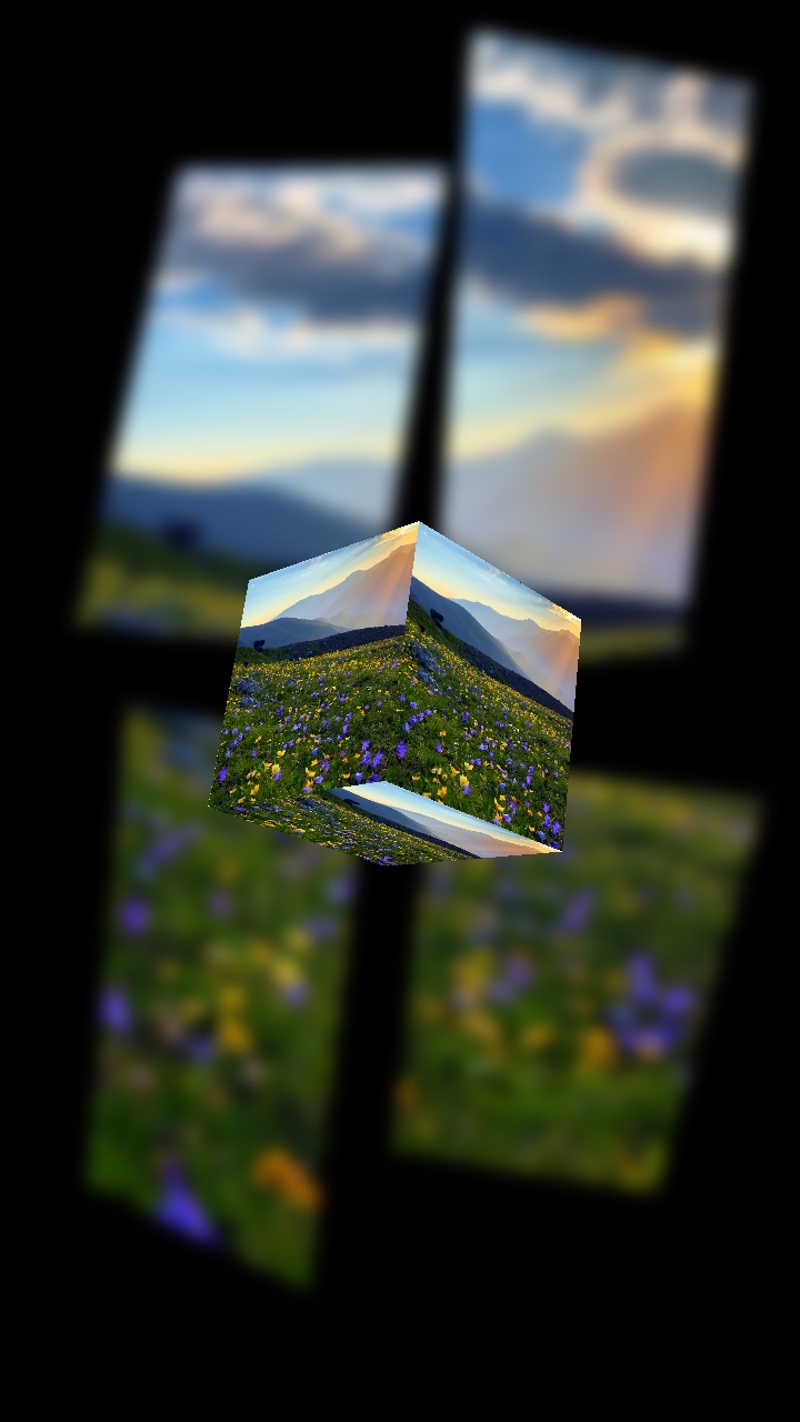 Cover Picture