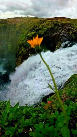 Slow motion 