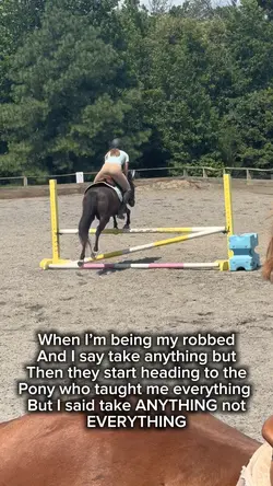 Lesson pony! 