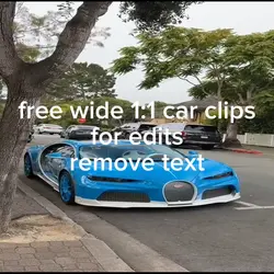 free 1:1 car clips