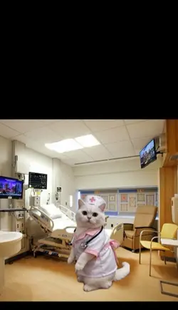 Nurse