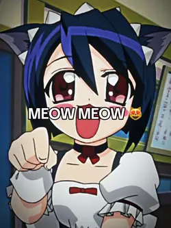 MEOW MEOW 
