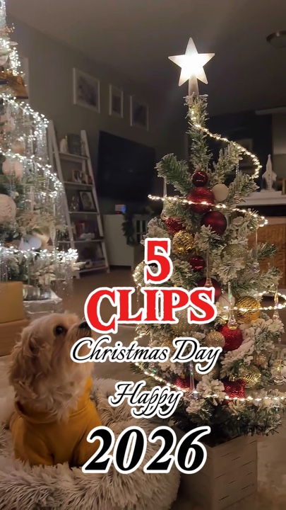 5 video ng Pasko 🎄 