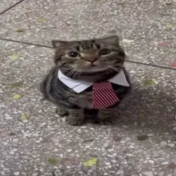 pzzzz <33
