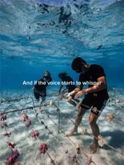 Marine biologist🐟