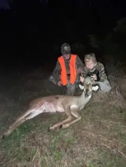 Deer