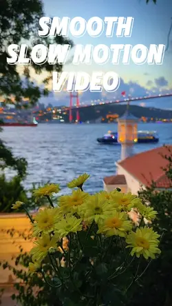 10 clip or photo 💚