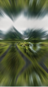 Neue Vorlage 