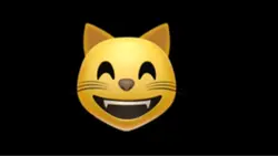 Emoji cat :3