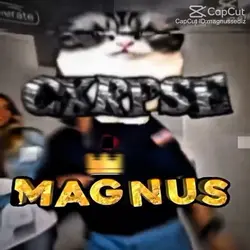 collab magnus