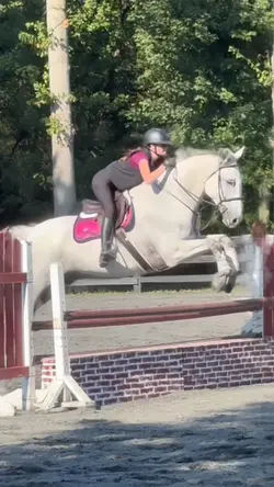 Horse Jumping Slomo