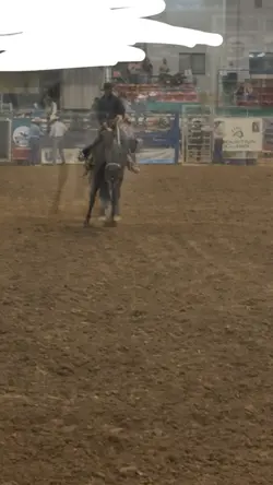 Horse 😼