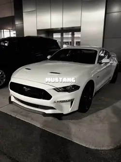 mustang!!