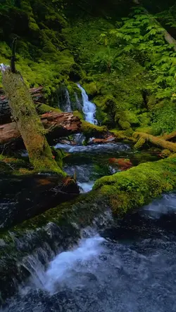 Nature vibes