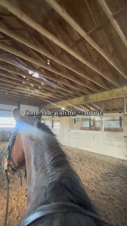 Ride dababy with me🫰🏼