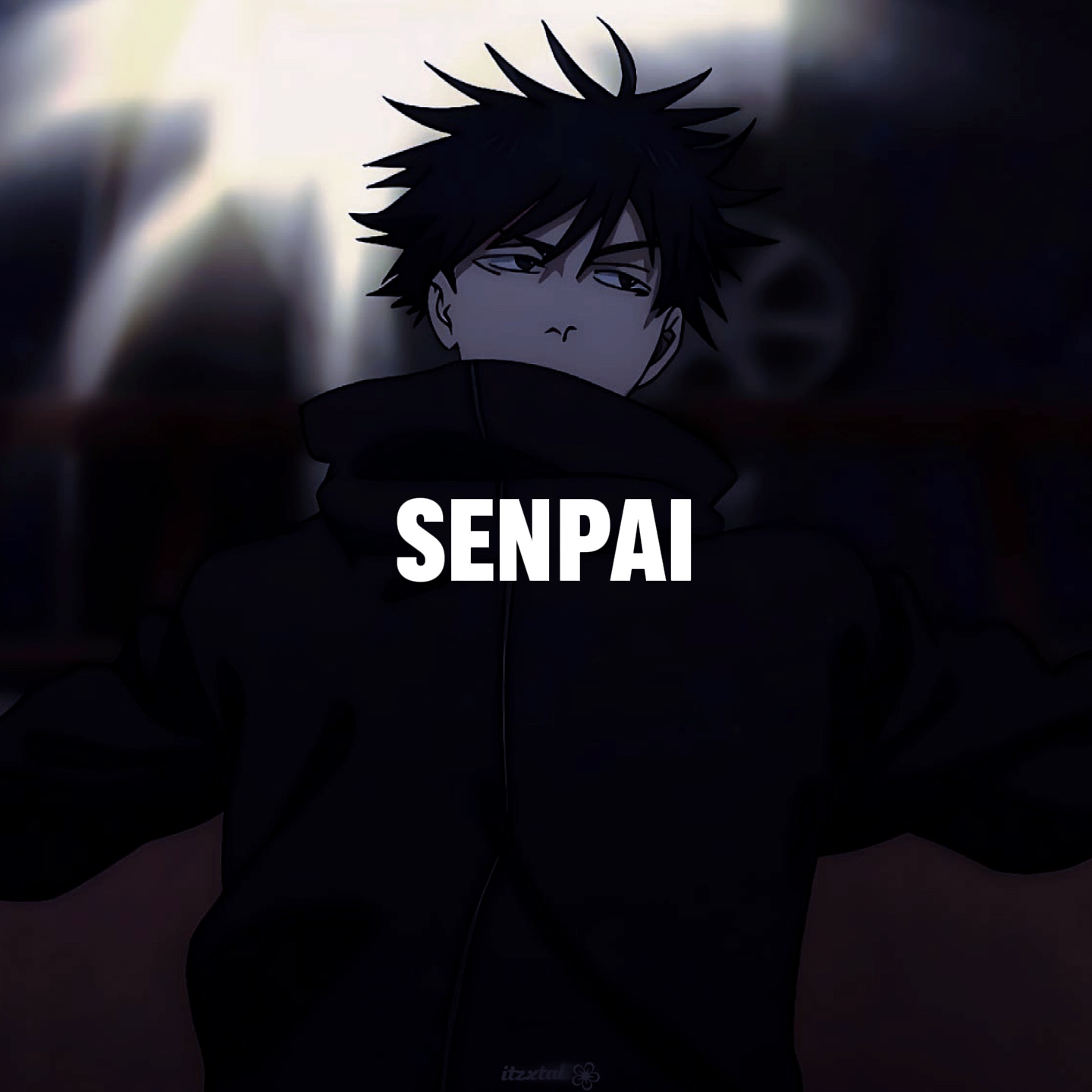 Cover Picture